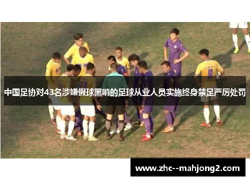 中国足协对43名涉嫌假球黑哨的足球从业人员实施终身禁足严厉处罚 中国足协对43名涉嫌假球黑哨的足球从业人员实施终身禁足严厉处罚