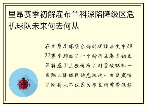 里昂赛季初解雇布兰科深陷降级区危机球队未来何去何从 里昂赛季初解雇布兰科深陷降级区危机球队未来何去何从